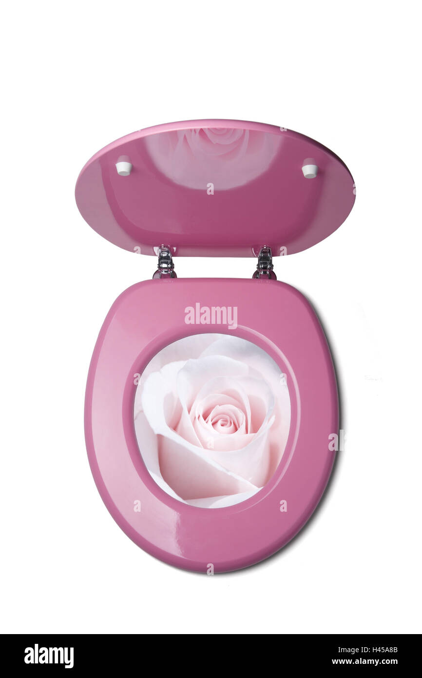 Toilet lid, toilet, rose blossom, cut out, Stock Photo