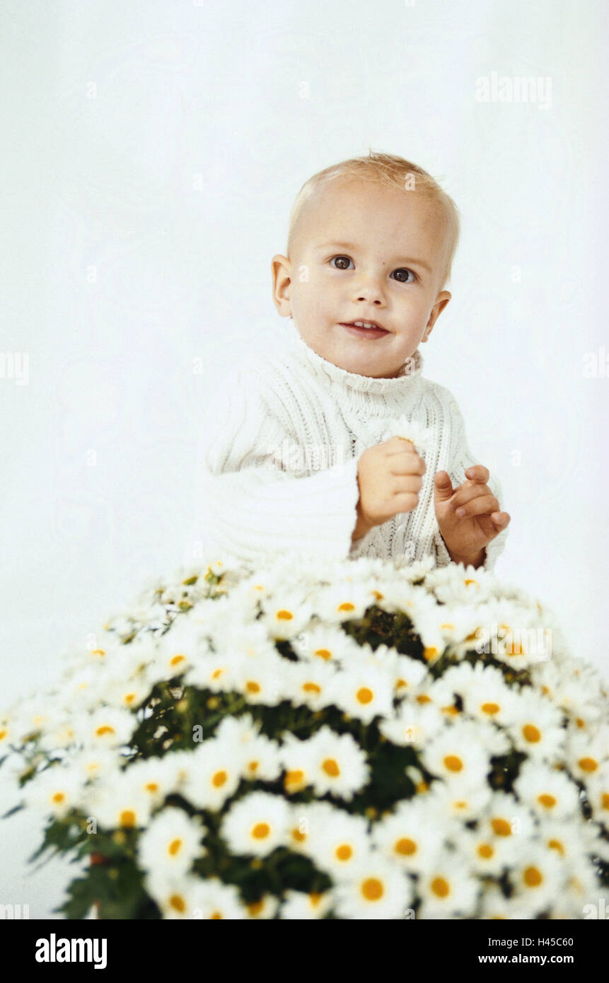 Baby, boy, sit, oxeye daisys, blossoms, detail, person, child, infant ...