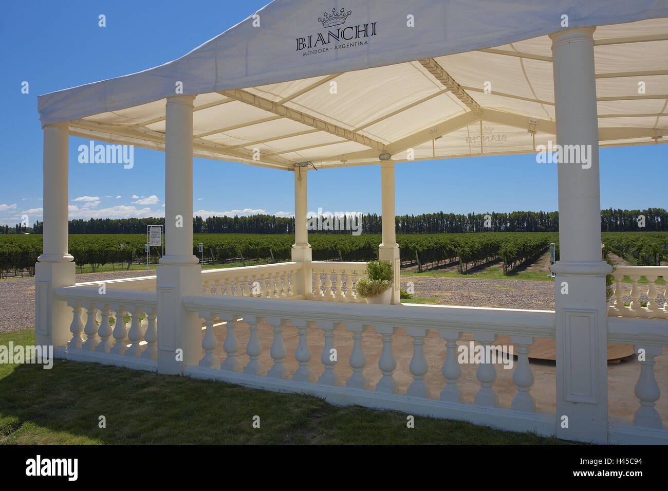 Argentina, Mendoza, San Rafael, vineyard Bianchi, fixed tent, wine fields, Stock Photo