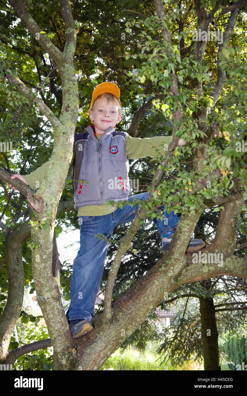 Boy, smile, baseball cap, tree, climb, play people, child, infant, climbing tree, courage, courageously, high, on top, skill, cleverly, stop, hold, stick, waistcoat, jeans, cap, cap, headgear, whole body, Stock Photo