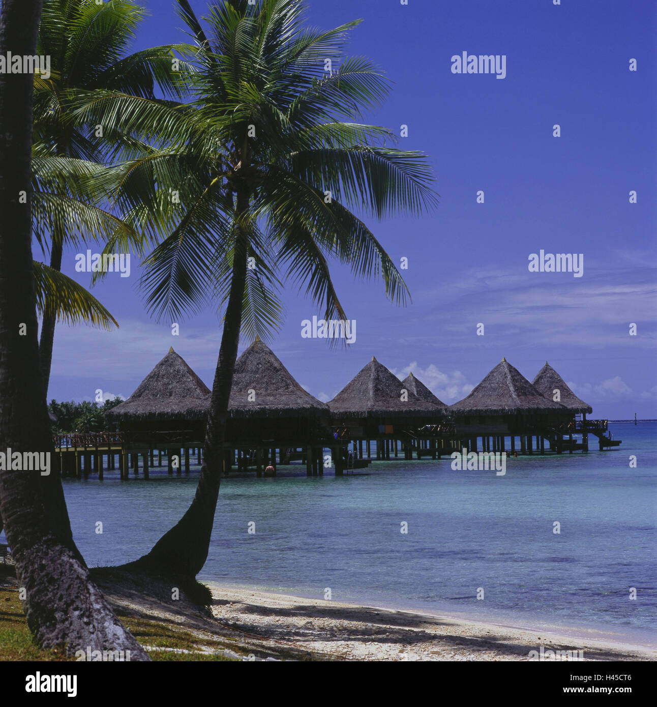 French Polynesia, Rangiroa, sea, building on stilts, the Pacific, coast, beach, palm beach, hut, holiday's plant, destination, tourism, Stock Photo