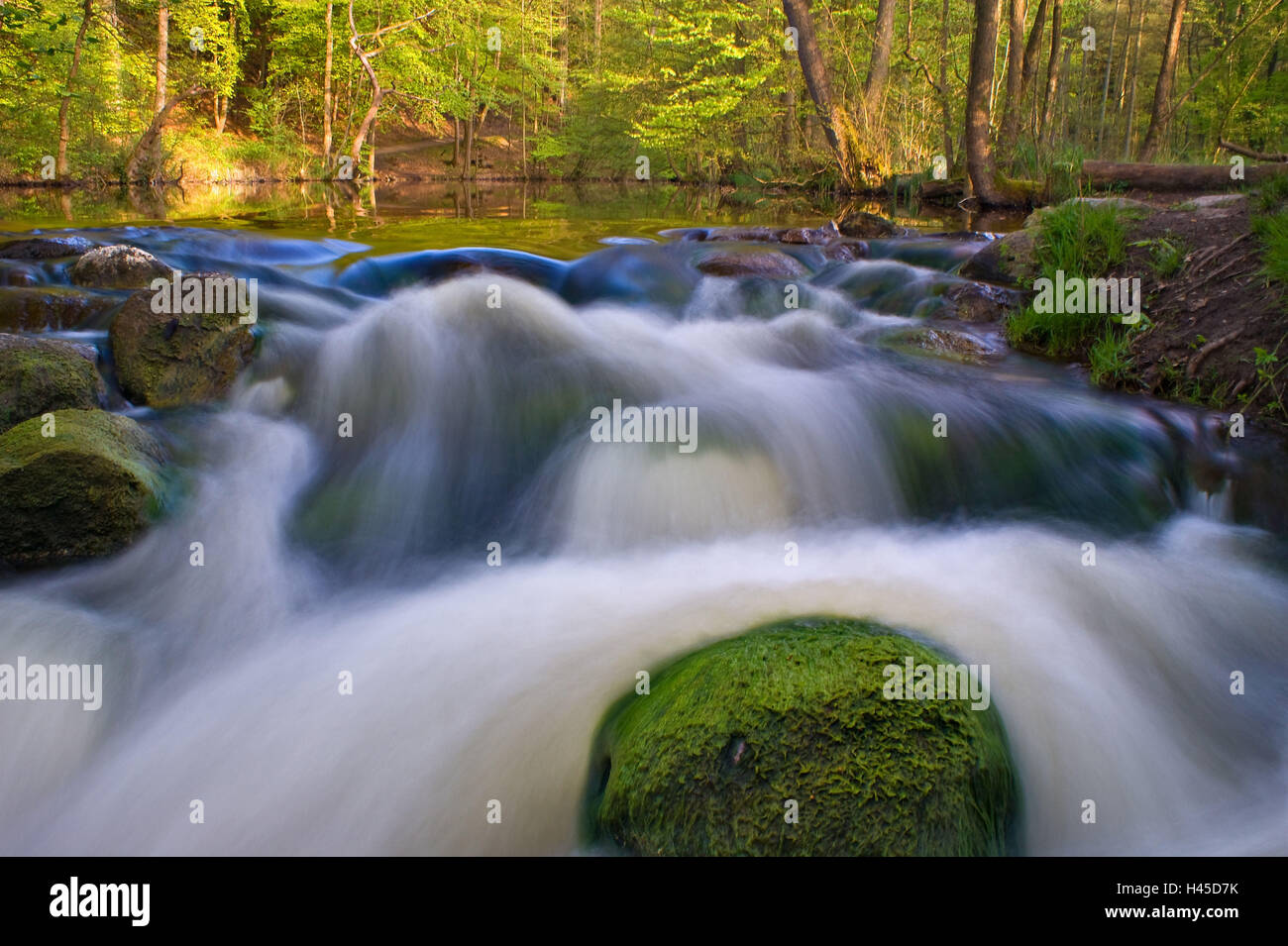 Forest, river, rocks, rapids, Long Exposure, Stock Photo