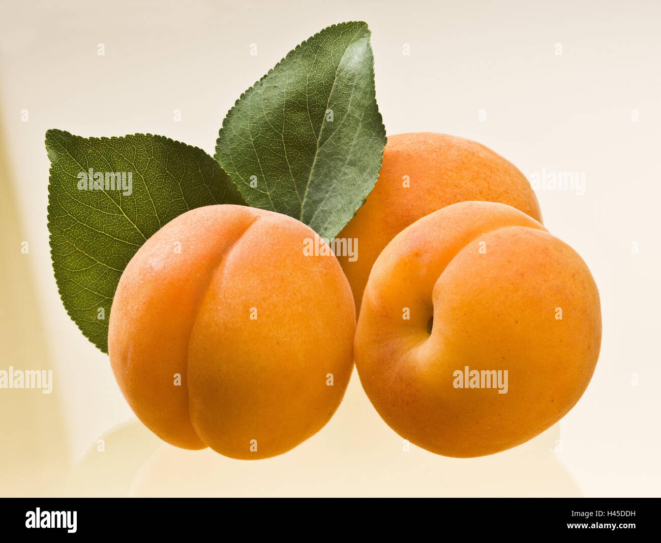 Apricots, Prunus armeniaca, cut out, apricots, leaves, studio, rich in vitamins, rich in aroma, low-calorie, healthy, yellow, green, three, fruit, fruits, plant, Stock Photo
