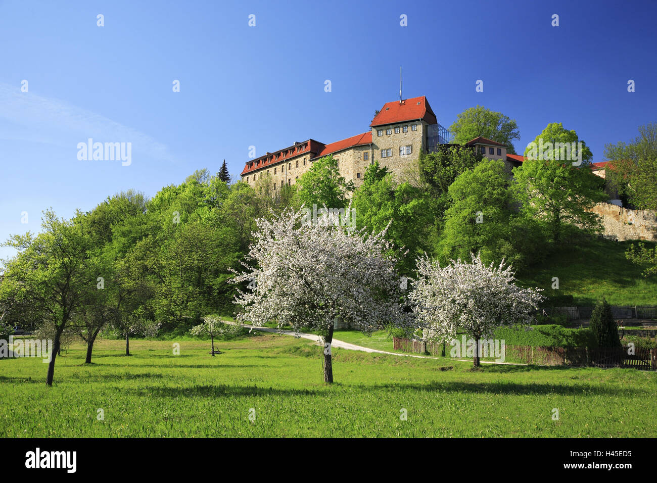 Castle Creuzburg, Thuringia, Germany, Stock Photo