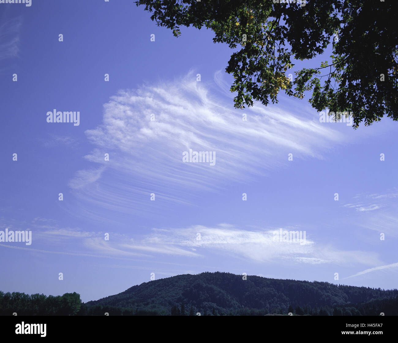 Heaven, clouds, cloud form, Zirruswolken, cloud genus, ice-crystals, ice cream clouds, cirri, Cirrus, Ci, nature, well, deserted, outside, hill, tree, branches, detail, weather, meteorology, Stock Photo