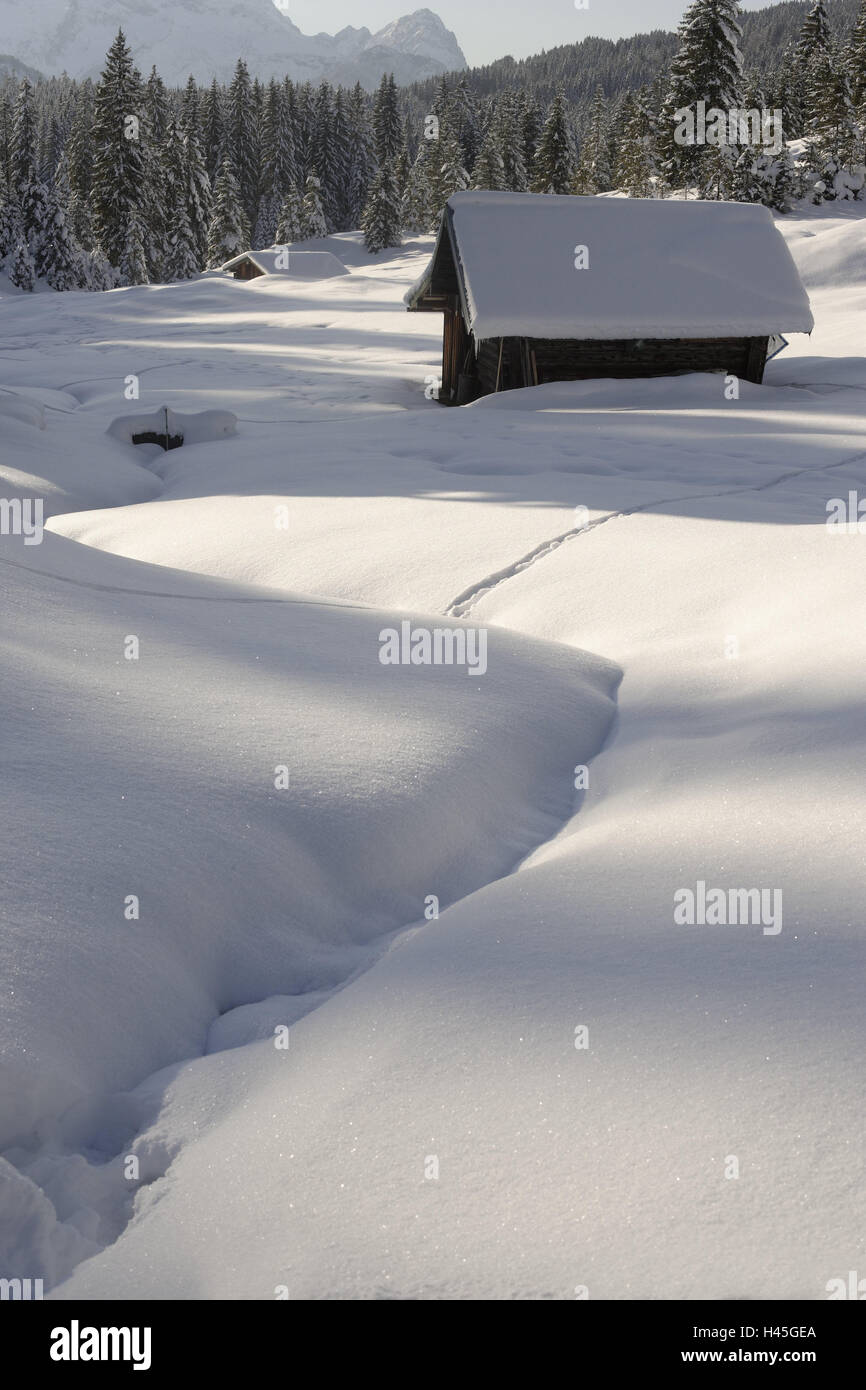 Winter scenery, Werdenfels, Wetterstein Range, Bavaria, Germany, Upper Bavaria, nature, seasons, winters, alps, Zugspitzes, snow, mountains, mountain landscape, hut, barn, wood, seclusion, trees, loneliness, Idyll, scenery, picturesquely, rest, silence, nobody, snowy, deep snow, snow surface, light, shade, snow-covered, edge the forest, wilderness, Stock Photo