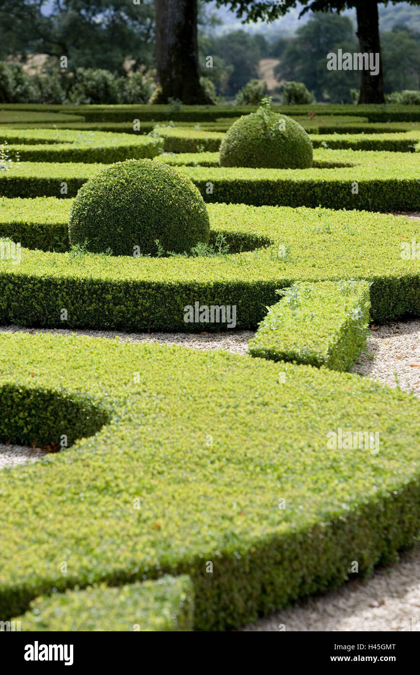 Castle garden, box hedges, topiary, detail, Stock Photo