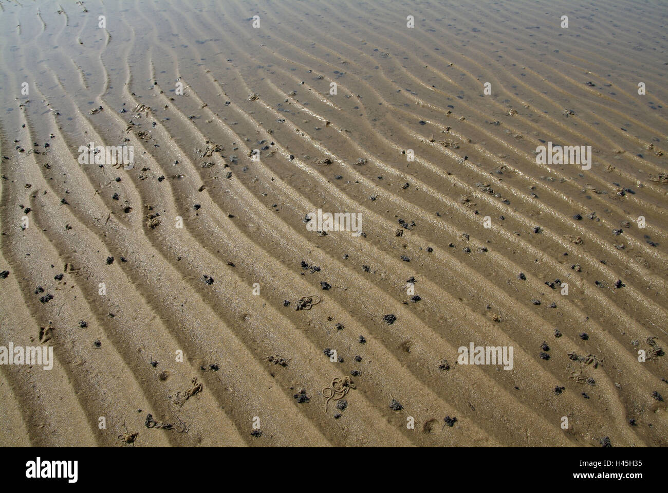 Wurmhafchen hi-res stock photography and images - Alamy