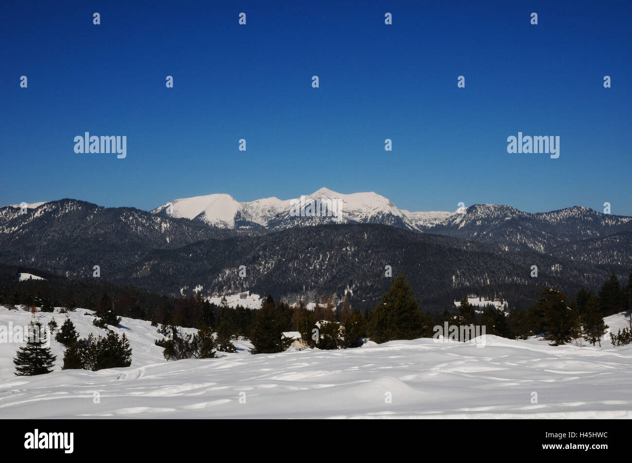 Winter scenery, snow surface, ridge Stock Photo - Alamy