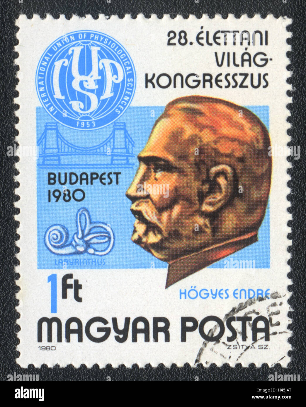 A postage stamp printed in Hungary, shows  28th International Congress of Physiological Sciences, 1980 Stock Photo