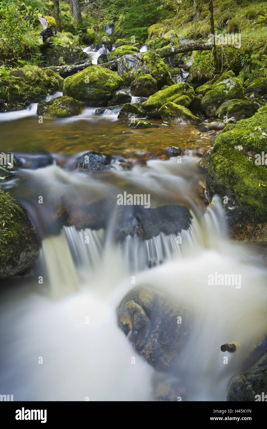 UK, Scotland, Argyllshire, river, detail, Stock Photo