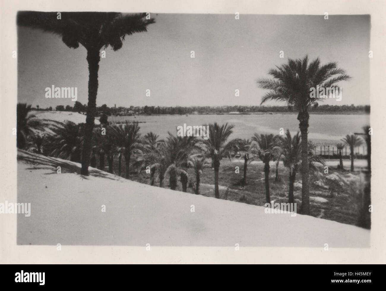 Egyptian palm trees and Lake Timsah Photo taken in Ismailia area in 1952 Stock Photo
