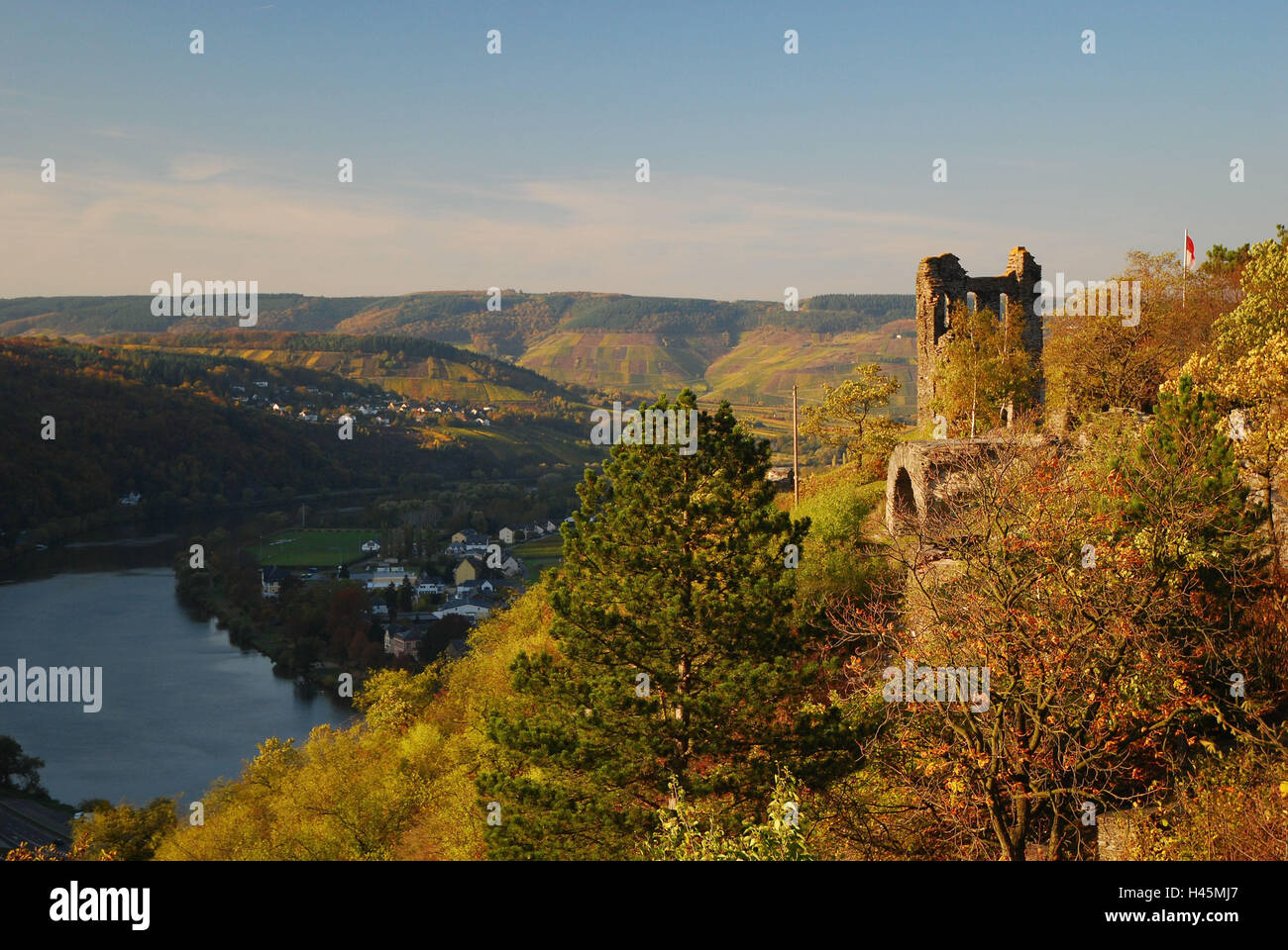 Germany, Rhineland-Palatinate, the Moselle, Traben-Trarbach, view from the castle Greven, vineyards, autumn, Stock Photo