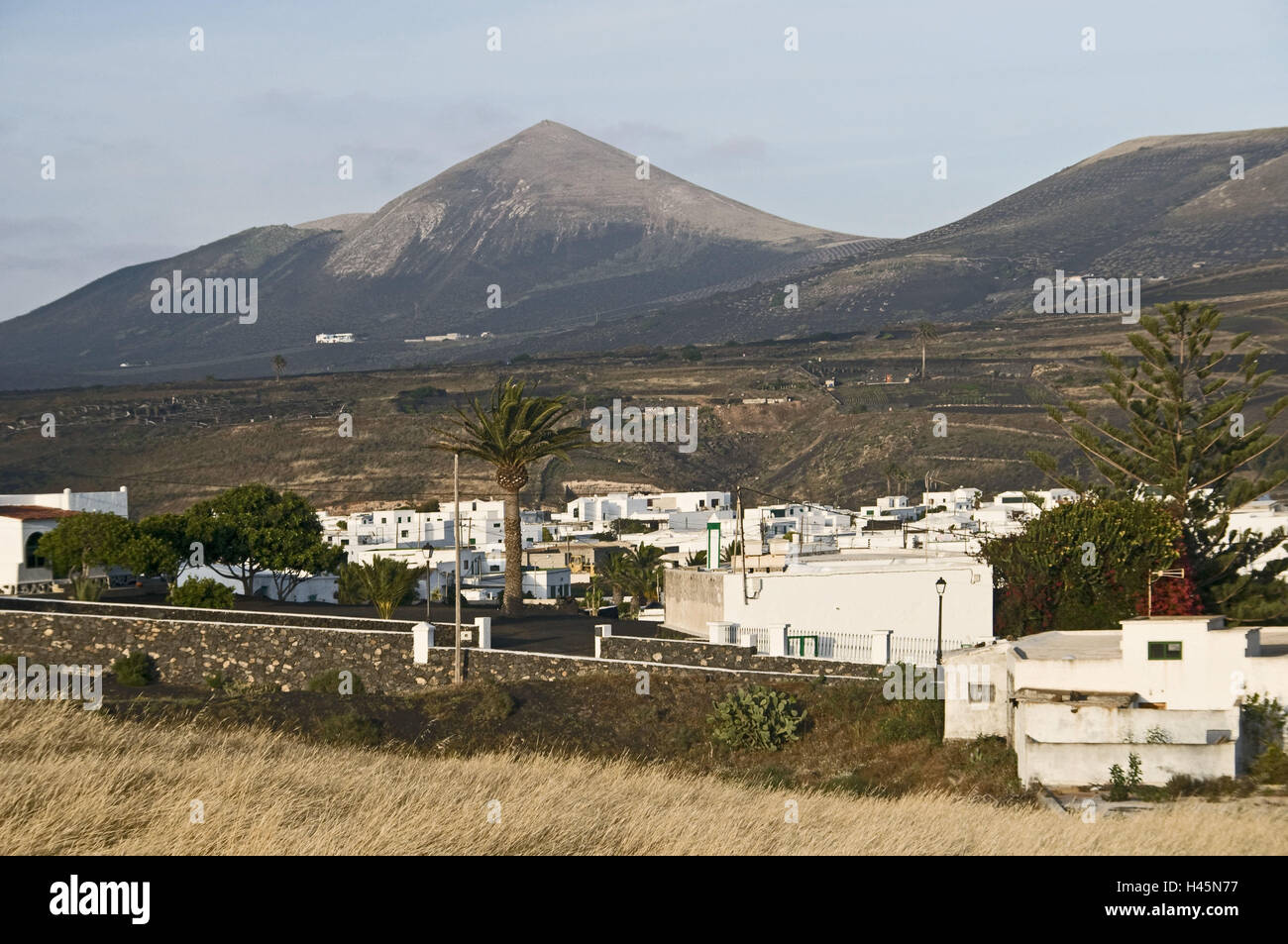 Canary, islands, Lanzarote, Uga, local view, volcano scenery, palms, Stock Photo