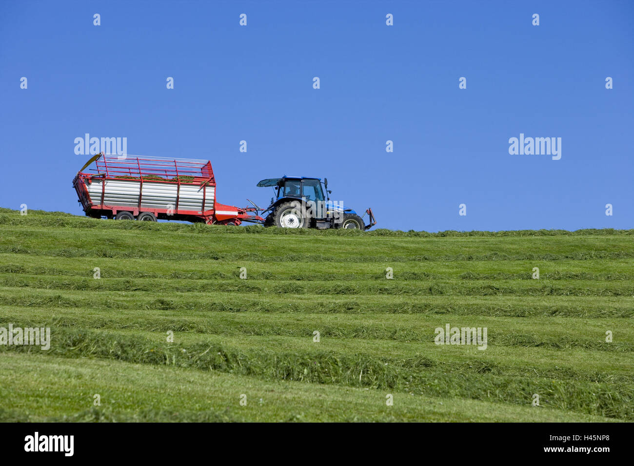 Tractor, loading carriage, hay, catch up Stock Photo Alamy