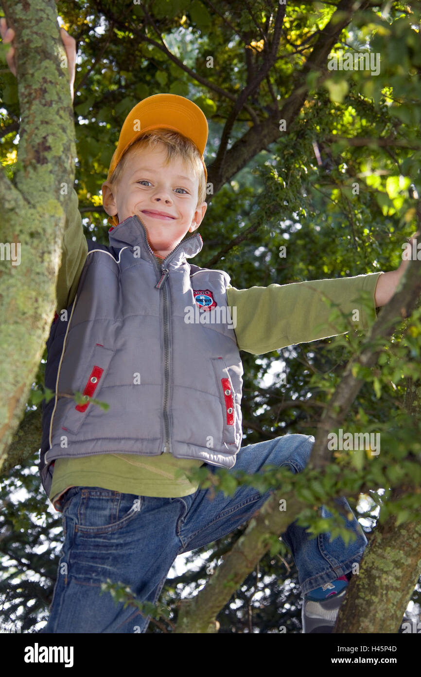 Boy, smile, baseball cap, tree, climb, play people, child, infant, climbing tree, courage, courageously, high, on top, skill, cleverly, stop, hold, stick, waistcoat, jeans, cap, cap, headgear, Stock Photo