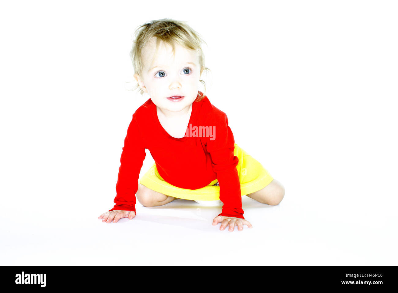 Toddler, crawls,   Child, small, girls, 1-3 years, blond, rests, kneels, cutely, wakened, development phase, development, abilities, tries out, locomotion, innocence, childhood, whole bodies, studio, free plates, series, Stock Photo
