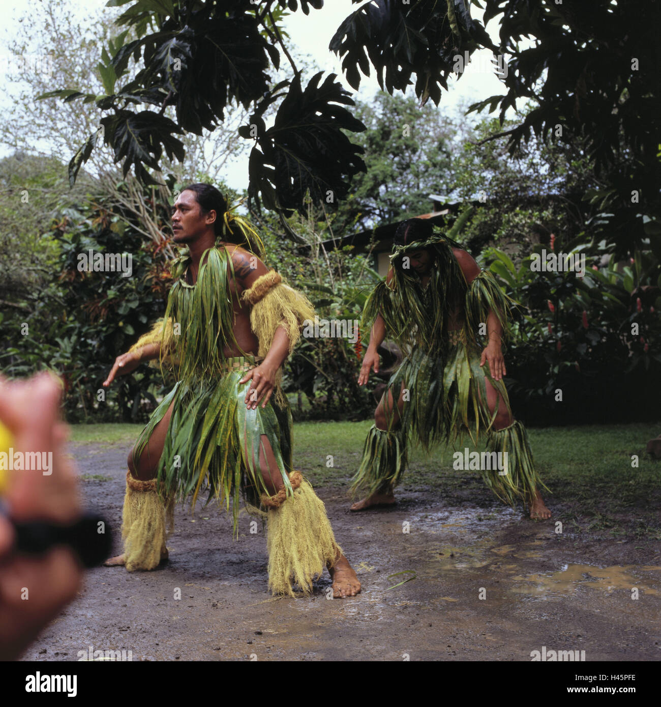 French Polynesia, Hiva Oa, compensating roller, space, person, locals, Polynesians, folklore group, performance, dance, motion, attraction, place of interest, destination, tourism, Stock Photo