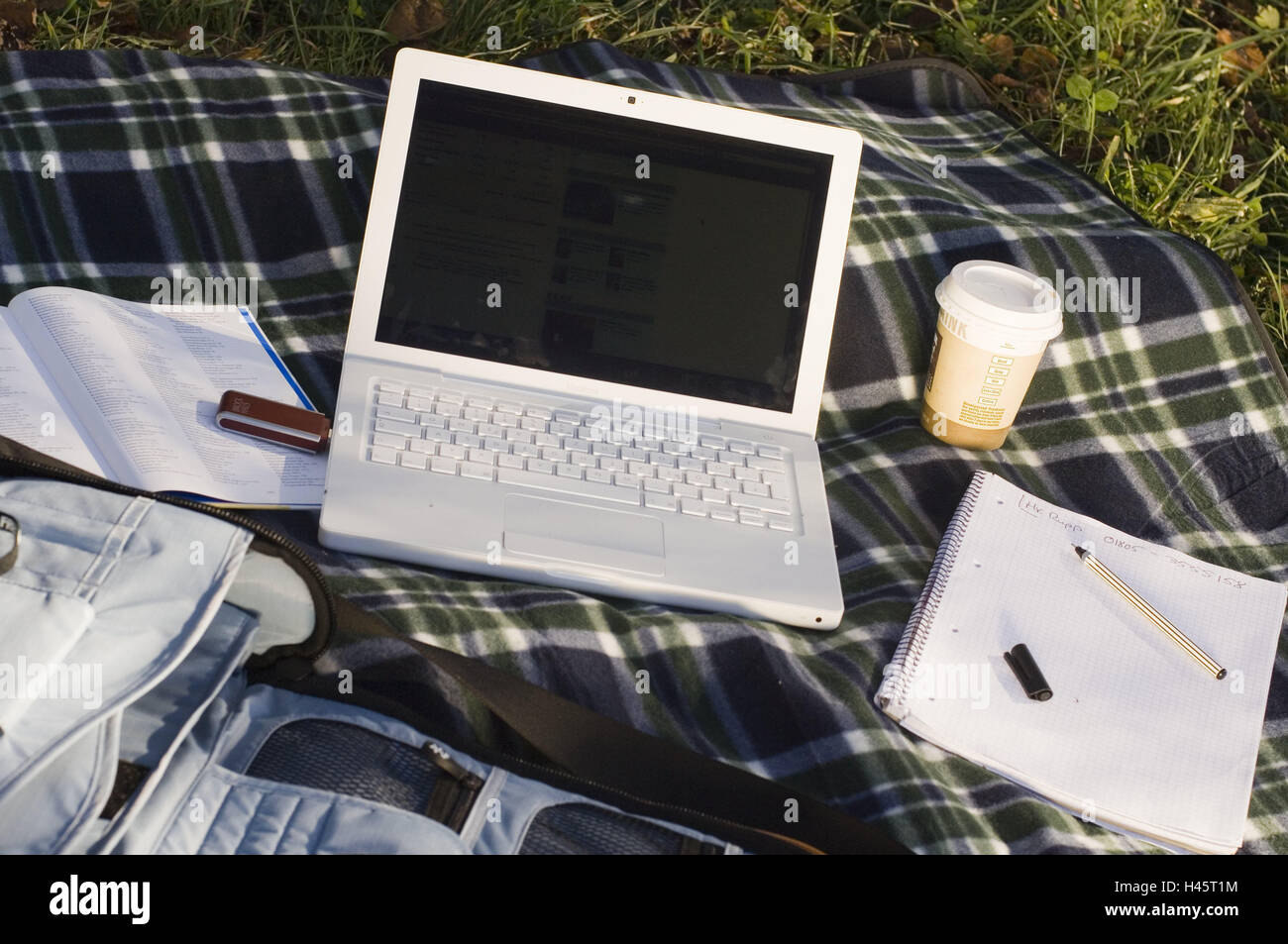 Meadow, blankets, Apple iBook, notepad, pen, coffee-cup, no property release, computers, Mac, MacBook, Notebook, pen drive, pen drive, data, data processing, flexibility, mobility, portable, wireless, on the way, outside, picnic, work, summer, Stock Photo