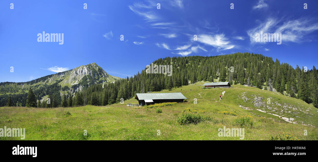 Mountain landscape, summer, Krüner alp, Upper Bavaria, Germany, Stock Photo