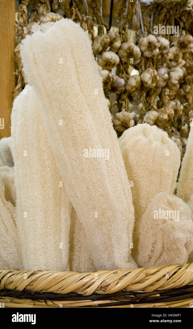 Garlic loofah hi-res stock photography and images - Alamy