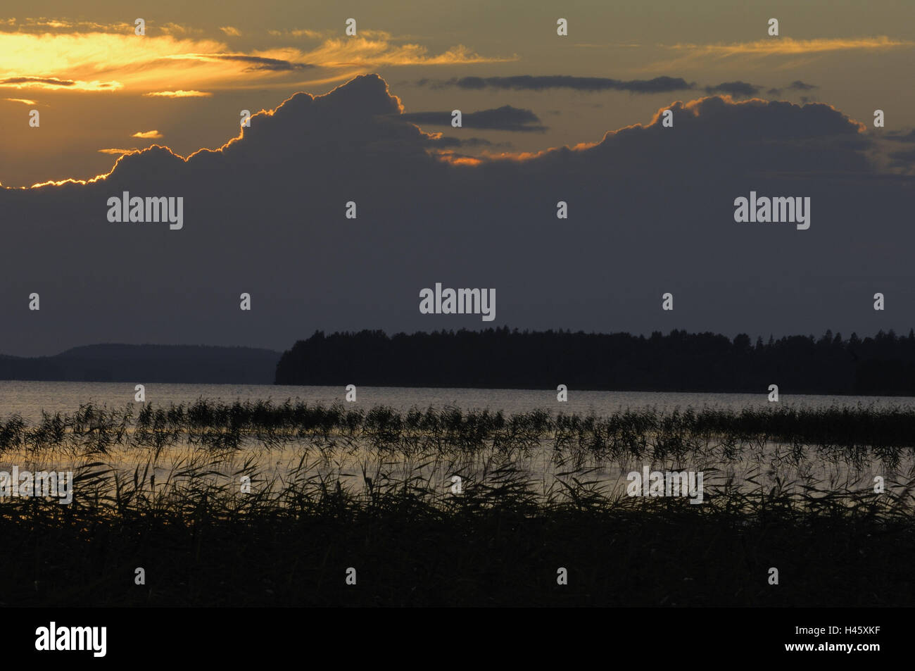 Sundown, Rantasalmi, Saimaa lake, islands, reed, Finland, Stock Photo