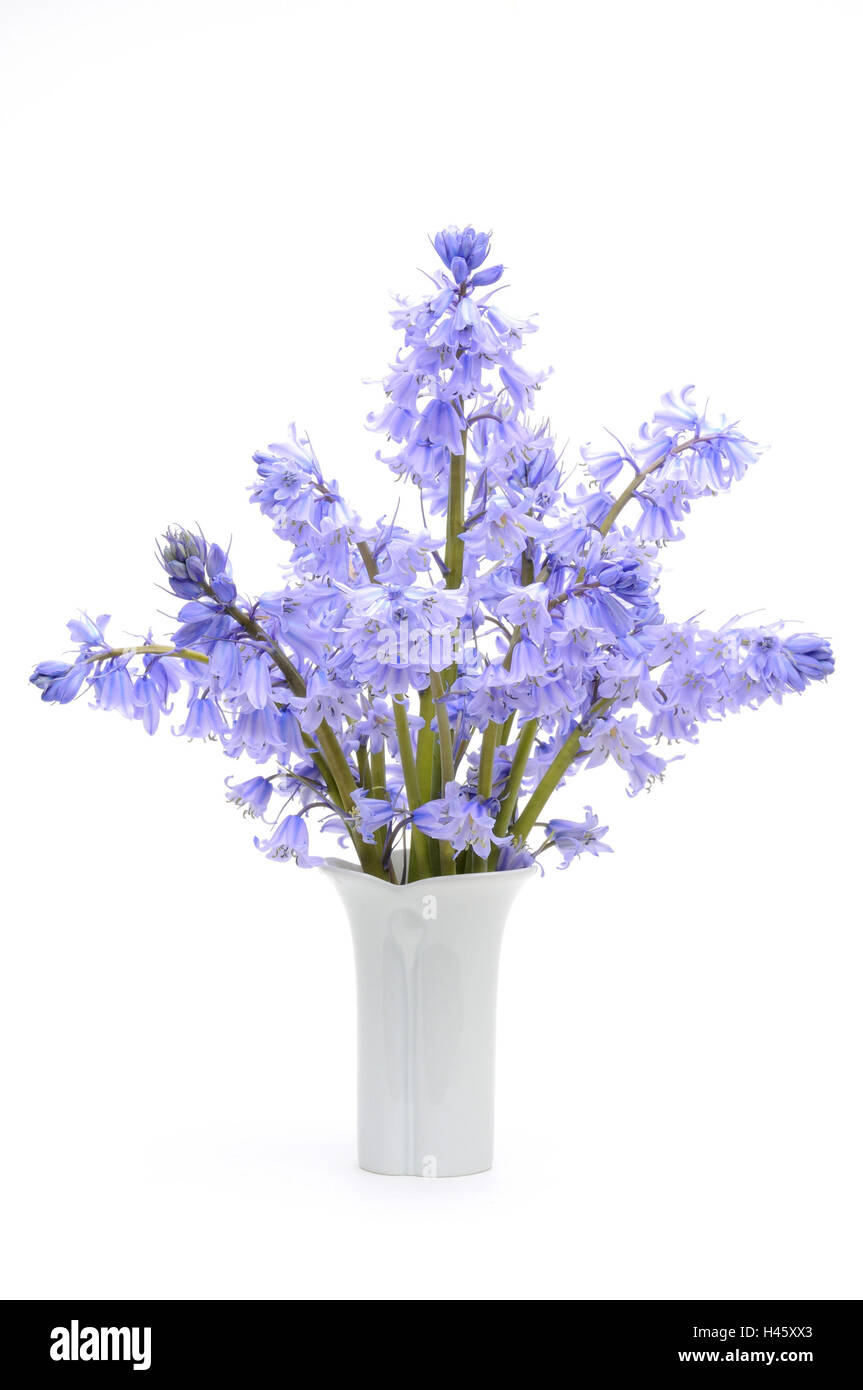 Flower vase, hyacinths, Stock Photo
