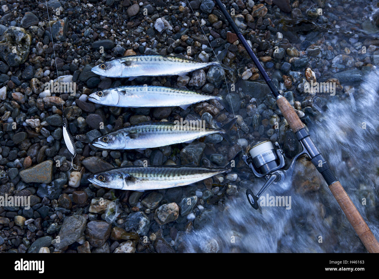 Fish hooks, fishing rods hi-res stock photography and images - Alamy