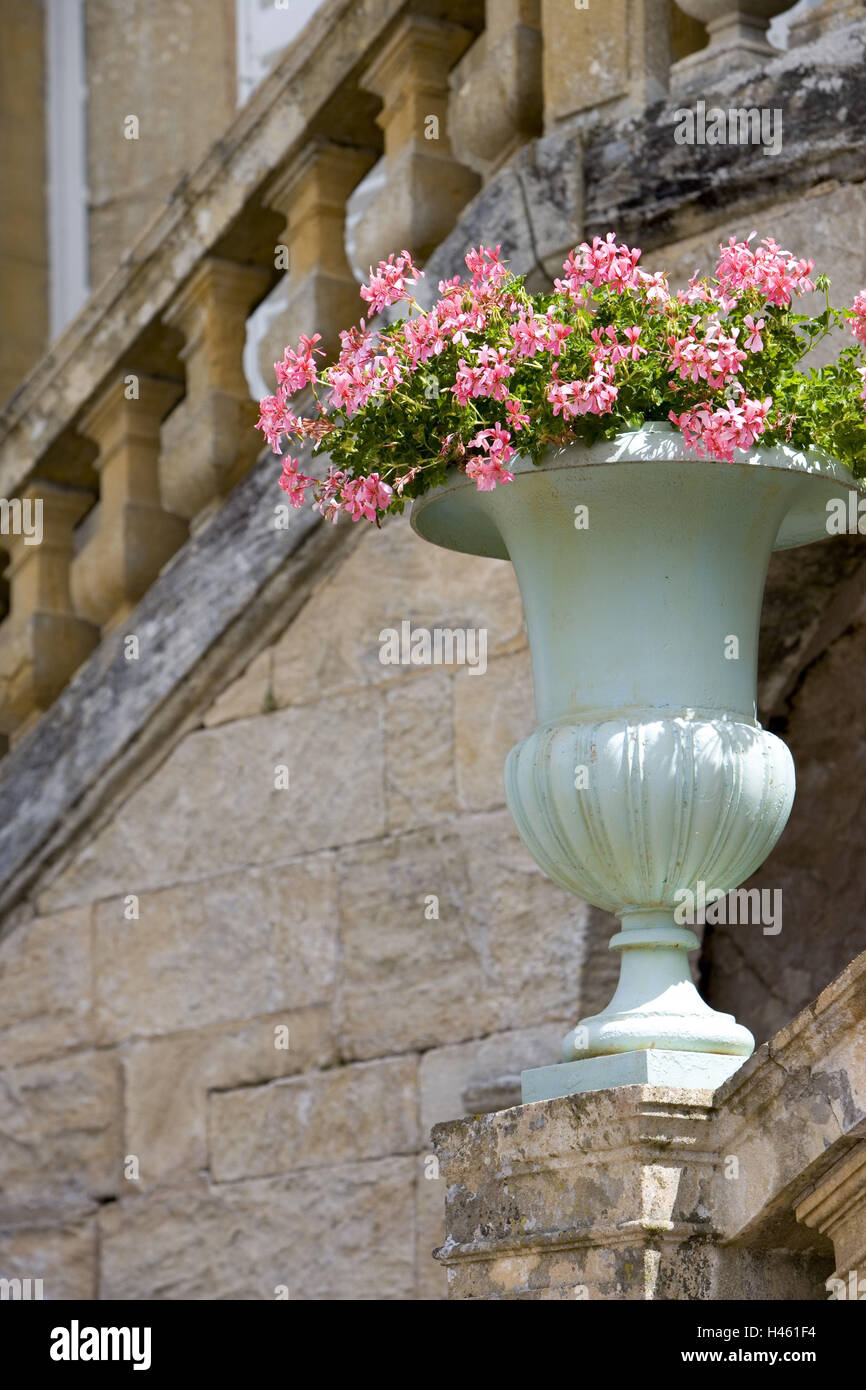 France, Bourgogne, Saone-et-Loire, Charolles, La Clayette, Corbigny, Chateau de Dree, steps, flowers, detail, Stock Photo