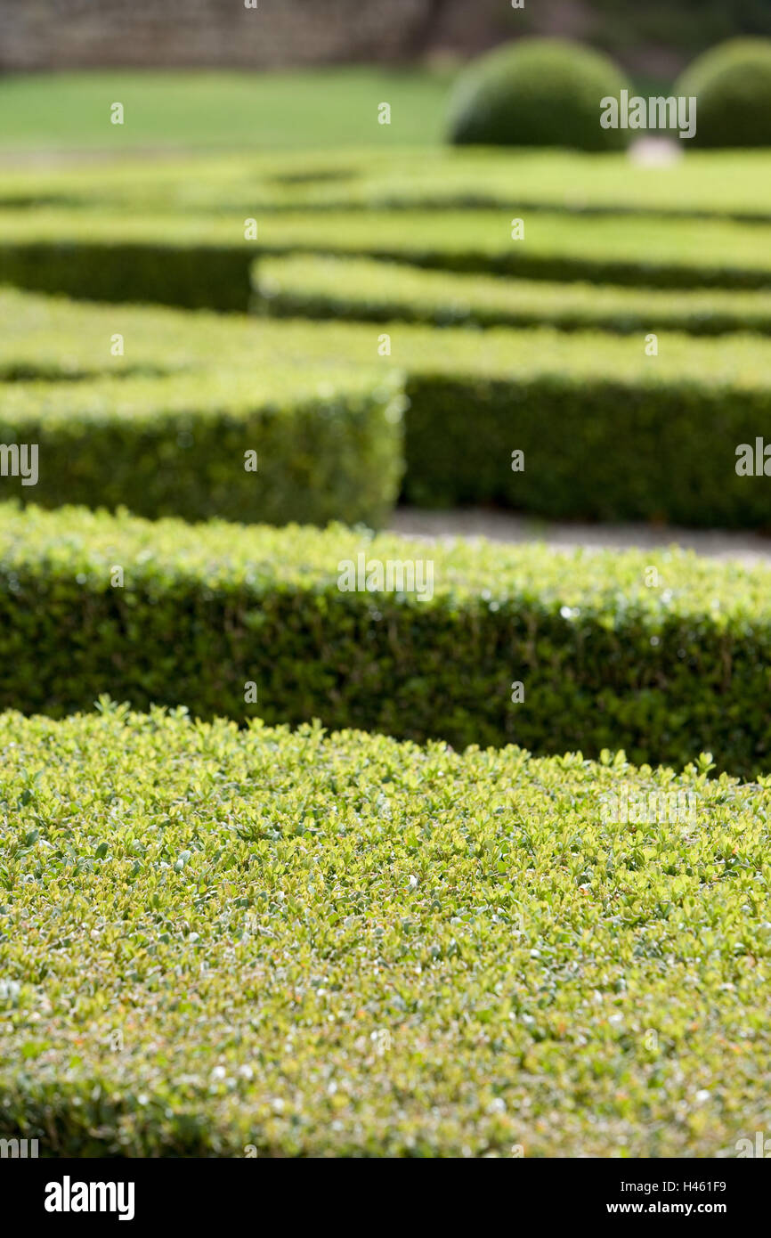 Castle garden, box hedges, form cut, detail, blur, Stock Photo