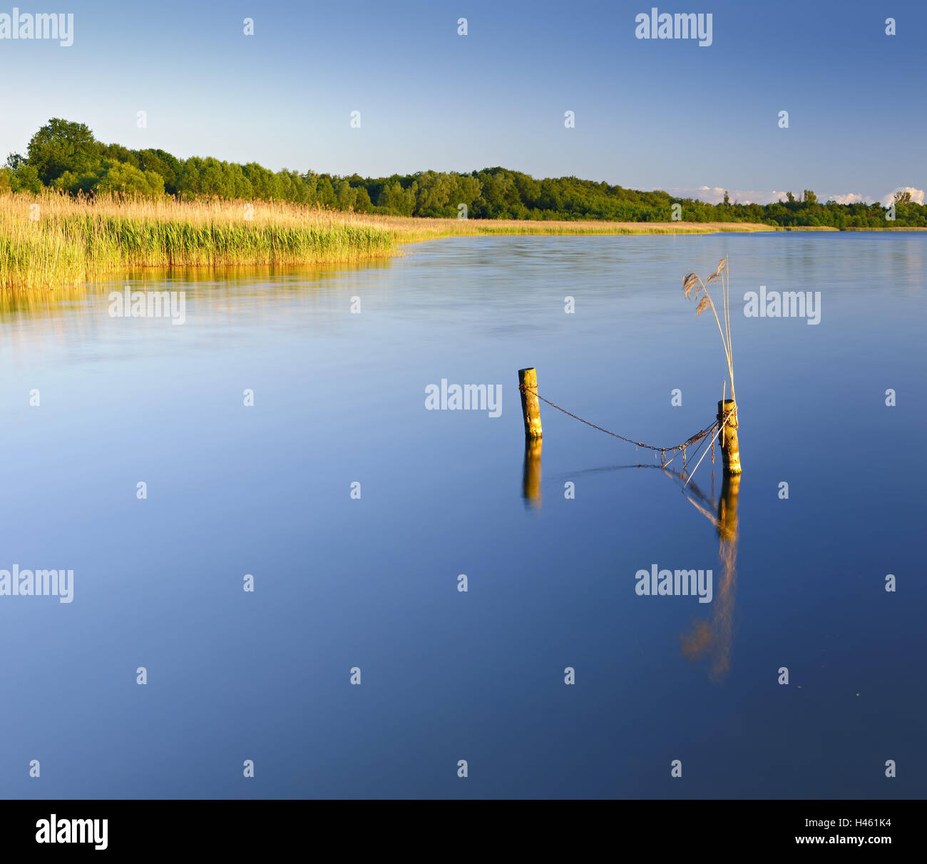 Biosphere reserve of schaalsee hi-res stock photography and images - Alamy