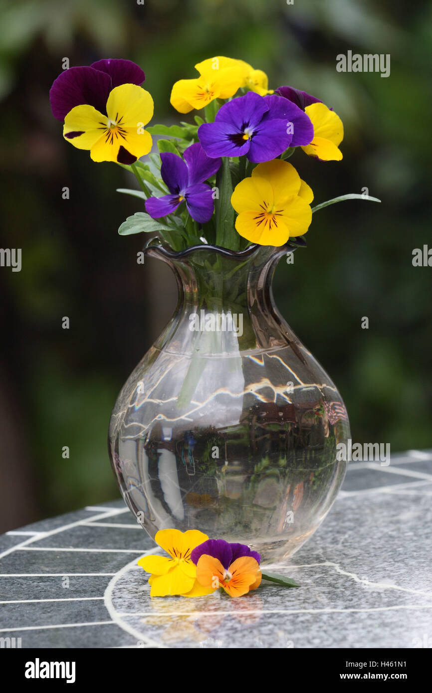 Pansies in vase hi-res stock photography and images - Alamy