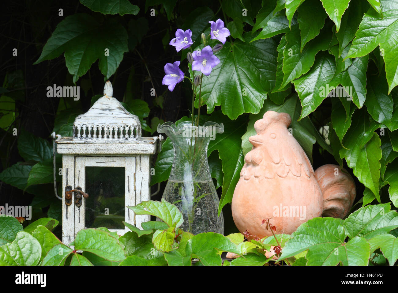 Lantern and vase with bellflowers, Stock Photo