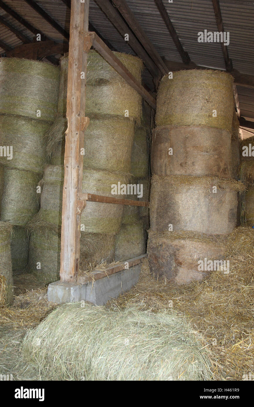 Barn with hay for horses Stock Photo Alamy