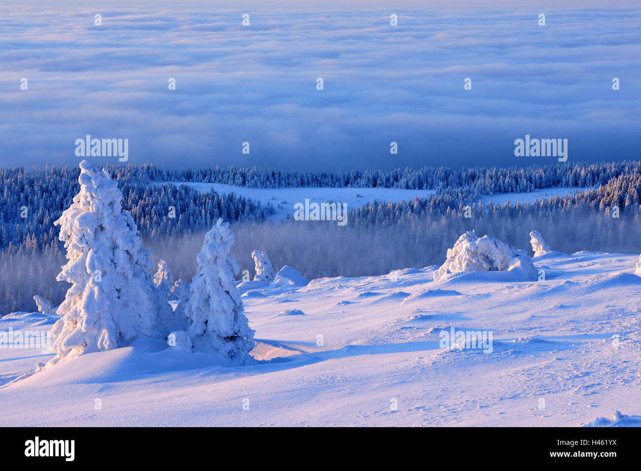 Germany, Saxony-Anhalt, national park resin, morning tuning on the lump, winter, Stock Photo