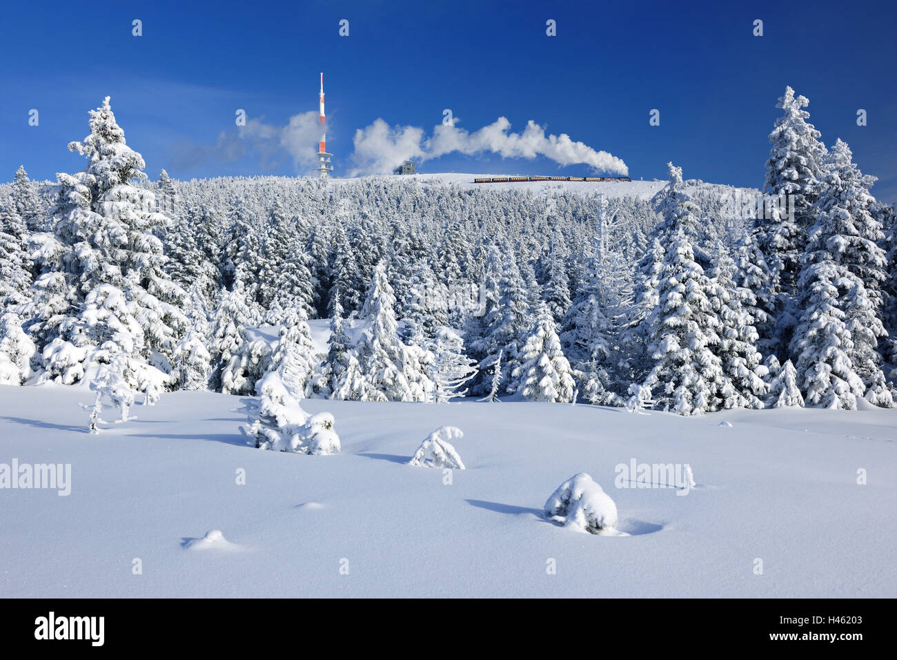 Germany, Saxony-Anhalt, National park Harz, winter scenery, lump trajectory, Stock Photo