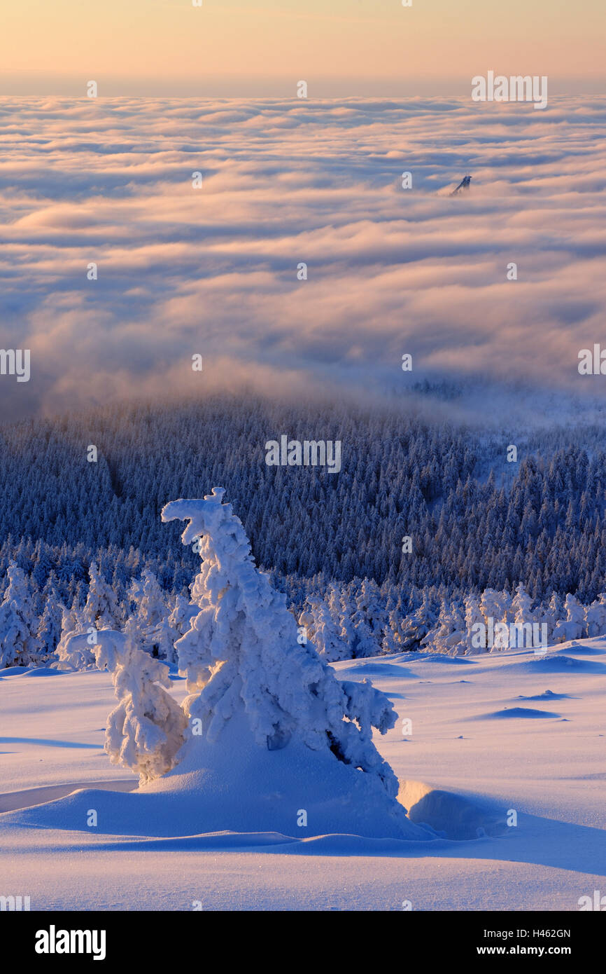 Germany, Saxony-Anhalt, National park Harz, sunrise on the lump, winter, Stock Photo