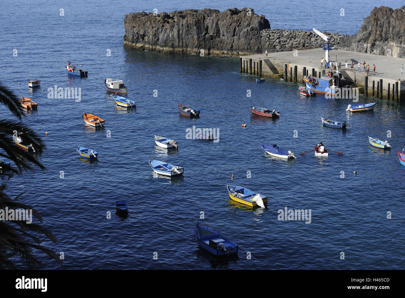 Portugal, island Madeira, Camara de Lobos, harbour, fishing boats, Stock Photo