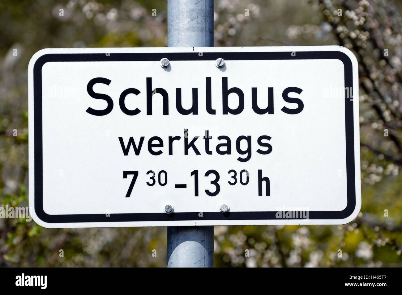 Stop, sign, school bus, times, school, bus, traffic, bus stop, student driver, sign, driving