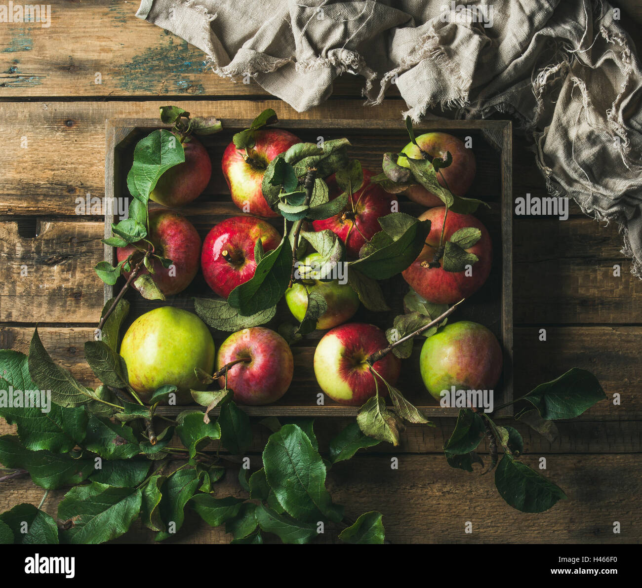 Seasonal garden harvest apples with green leaves in wooden tray Stock Photo