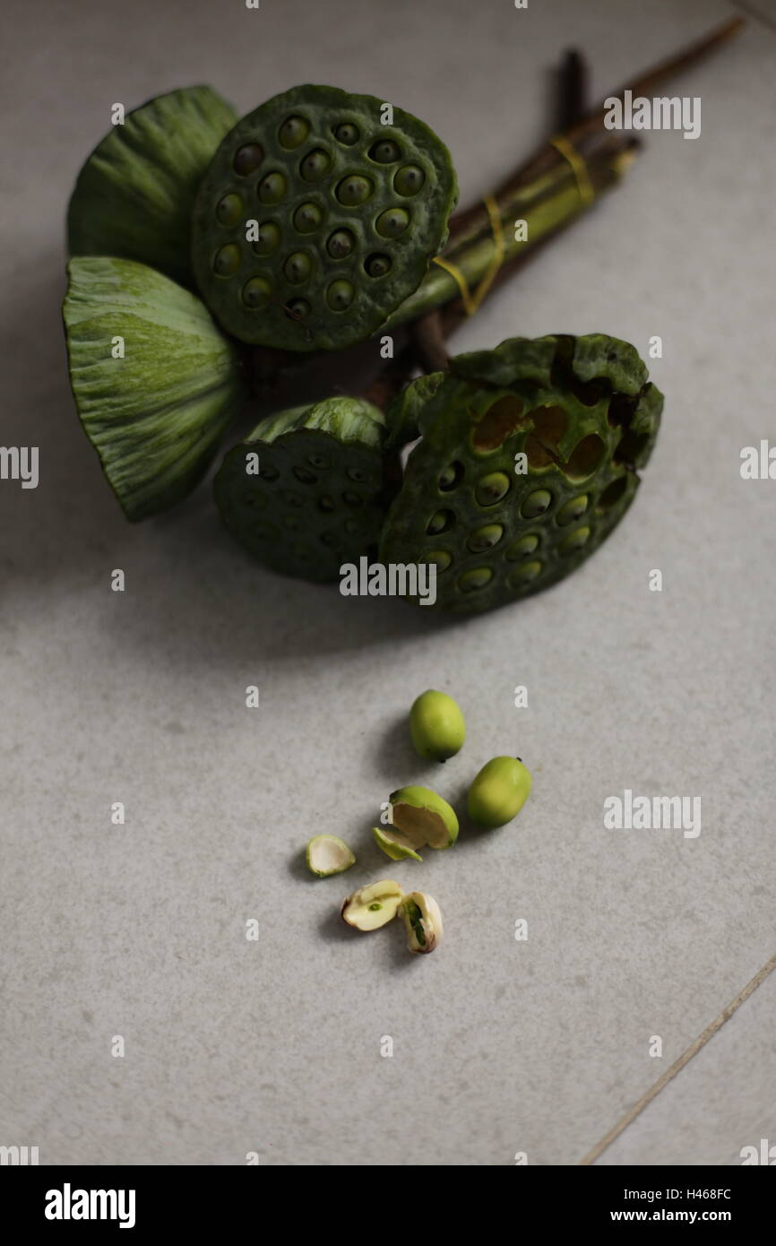 Edible lotus seed hires stock photography and images Alamy