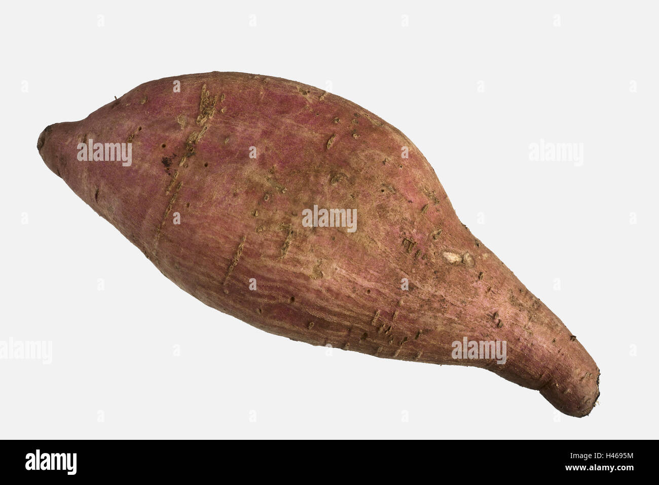 Sweet potato, yam, cut out, nodule, vegetables, root vegetables, nodule winch, useful plant, twining plants, Convolvulaceae, food, tropical, exotic, Asian, studio recording, Stock Photo