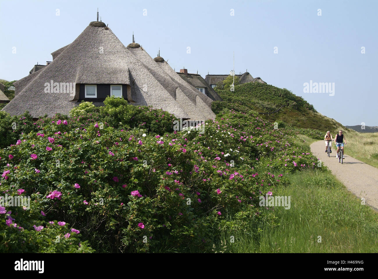 Germany, Schleswig - Holstein, island Sylt, list, houses, way, cyclist, Stock Photo