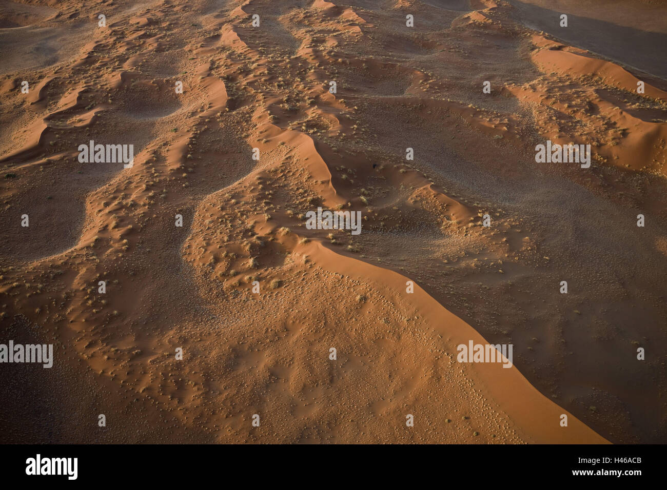 Africa, Namibia, region of Hardap, Namib-Naukluft park, Stock Photo