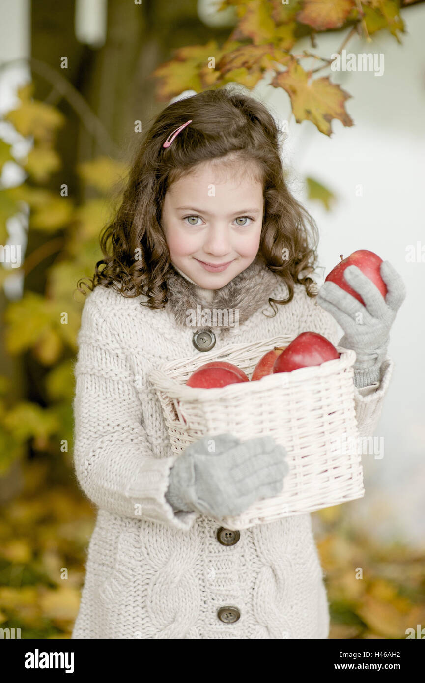 Little girl is carrying a basket with apples, Stock Photo
