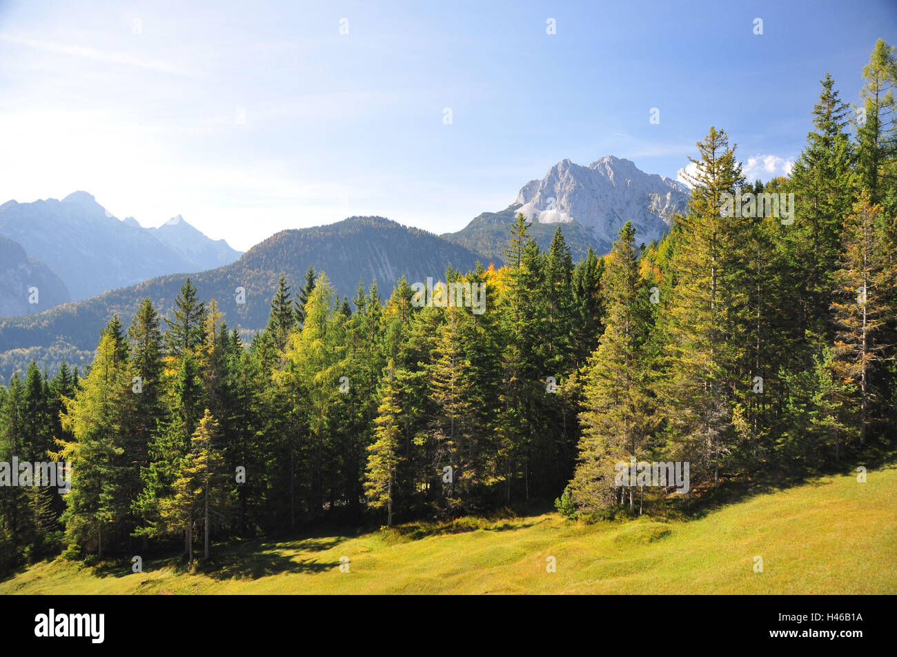 Germany, Bavaria, Isar valley, autumn wood, Kranzberg, Arnspitzgruppe ...