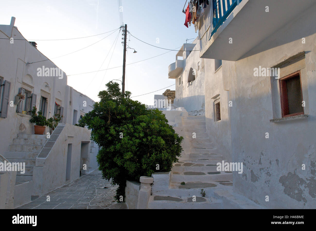 Kastro, townscape, alley, tree, island Sifnos, the Cyclades, Greece, Stock Photo