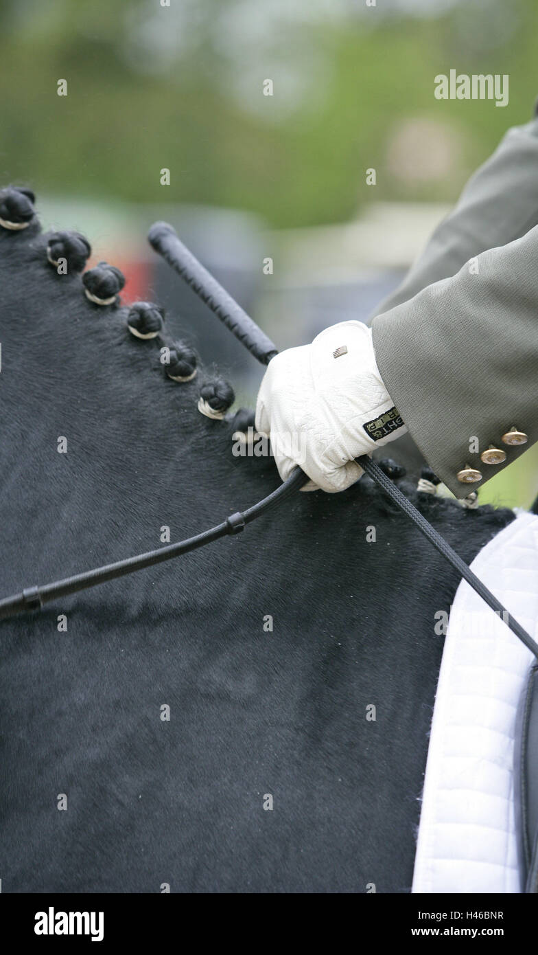 Whip the horse hires stock photography and images Alamy