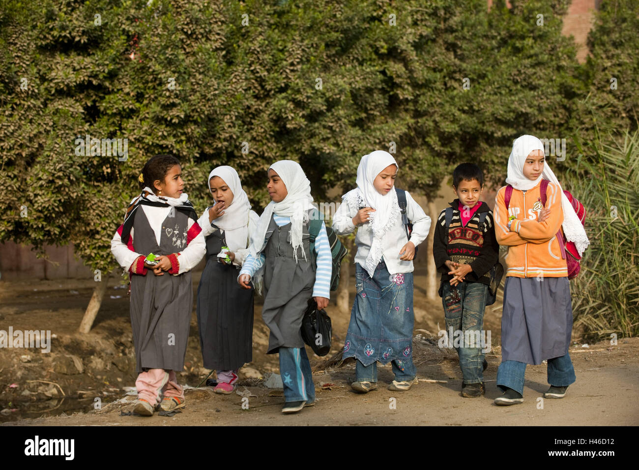 Egypt, Cairo, Sakkara with Gizeh, school children, school way, Stock Photo