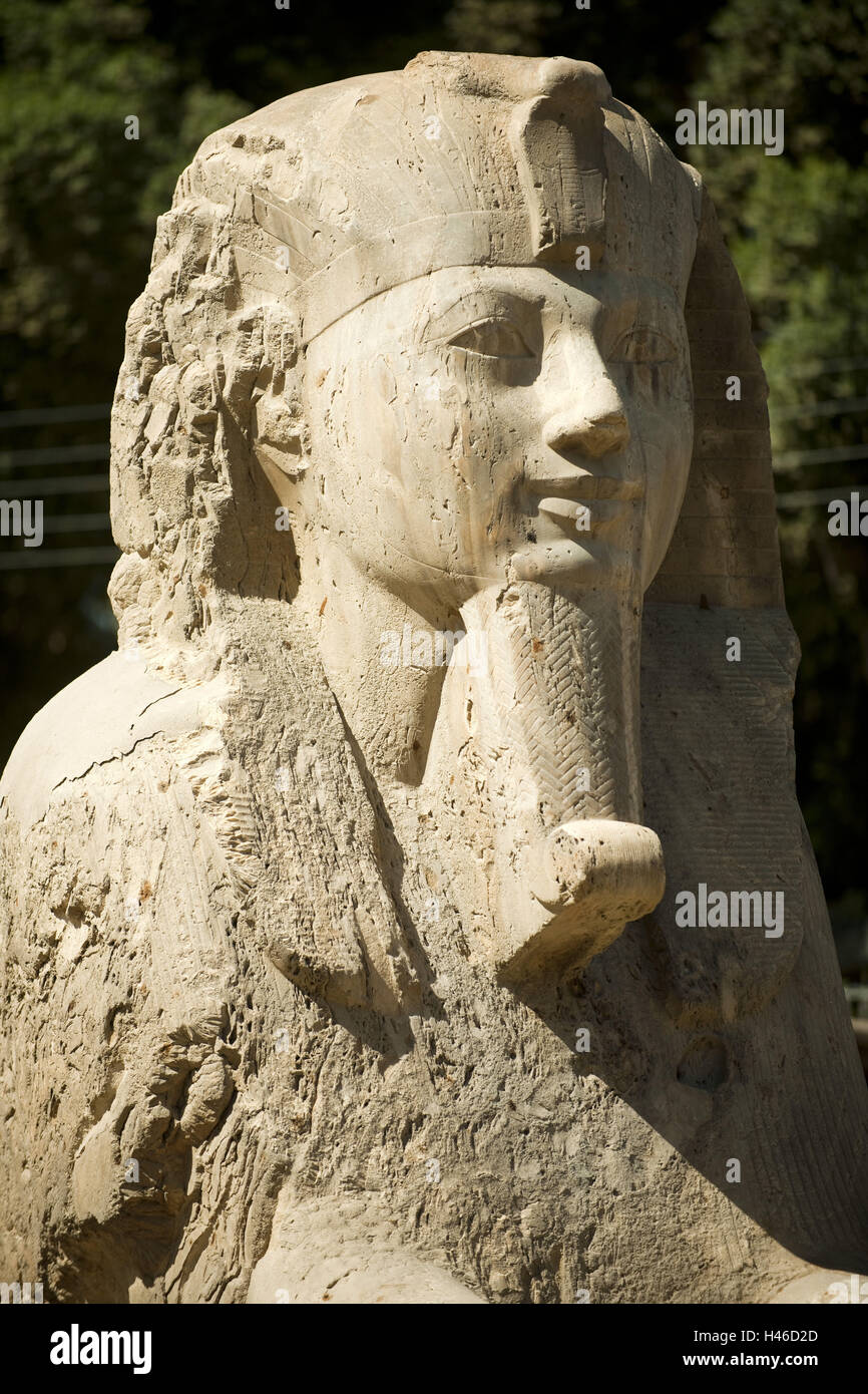 Egypt, Cairo, Memphis, alabaster sphinx Stock Photo Alamy